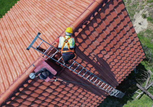 Best Roof Moss and Algae Removal  in USA